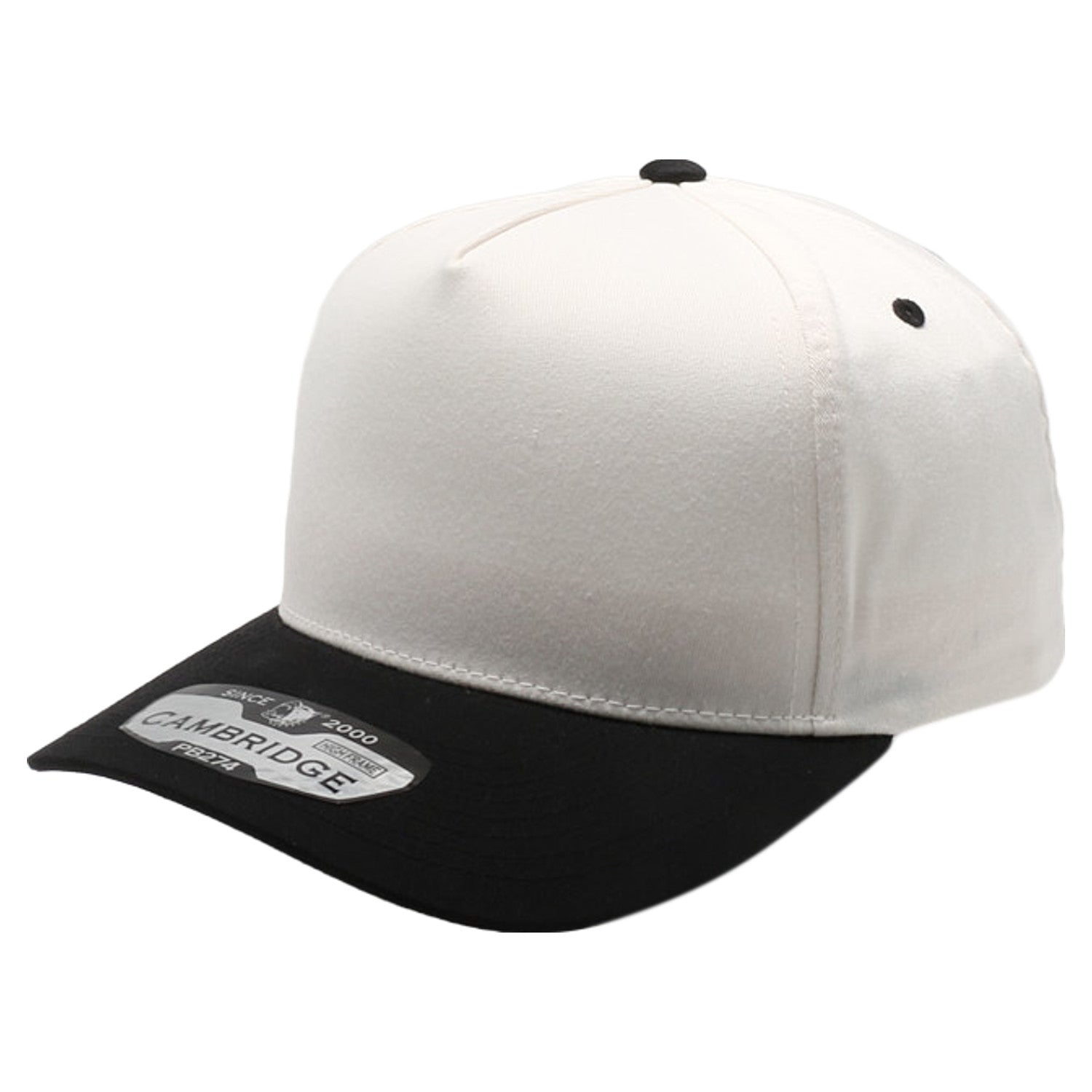 5 Panel High Frame Cream Two-Tone