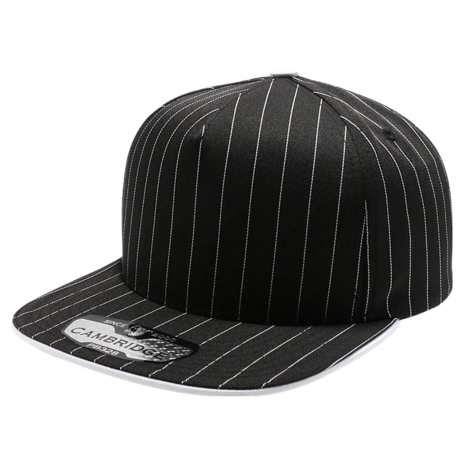 5 Panel Stripe Snapback