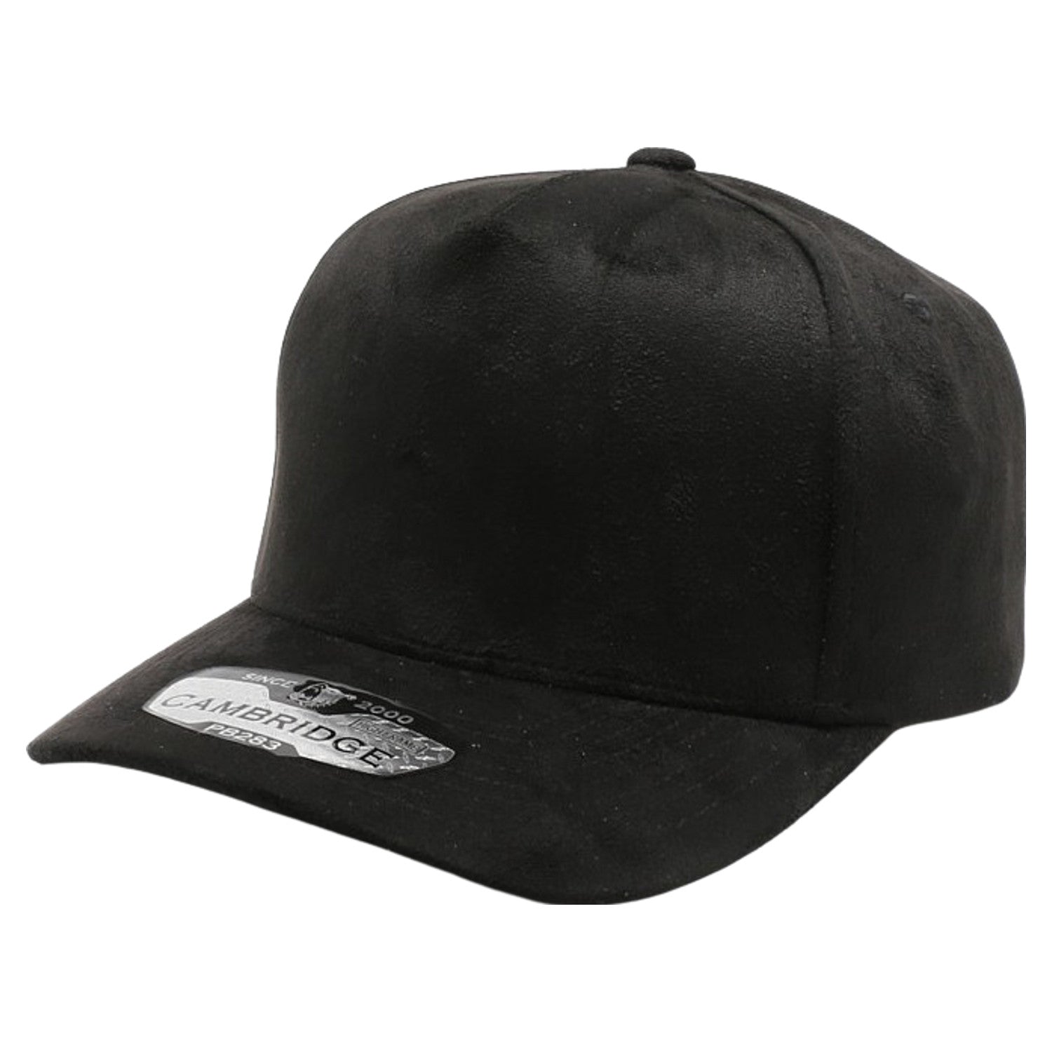 5 Panel Suede Snapback